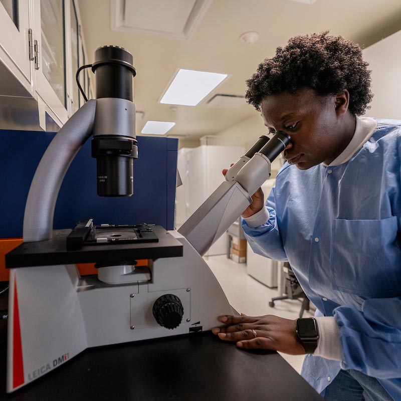 Person looking into a microscope in a lab. 